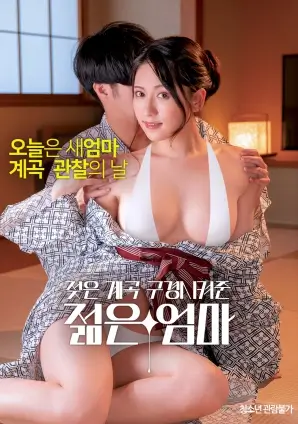 片种图鉴条目扩充资讯配图